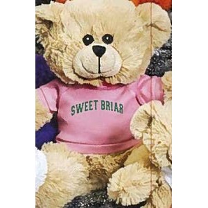 10" Patty Bears™ Stuffed Beige Bear