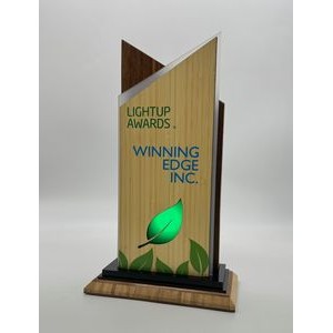 Bamboo and Acrylic Light Up Award