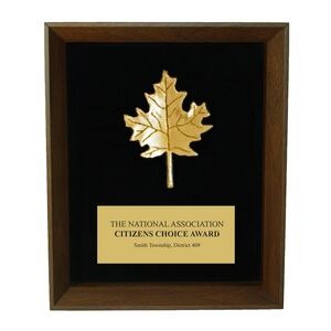 Maple Leaf Shadow Frame Award (8"x10")