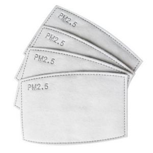 PM2.5 Replacement Filter