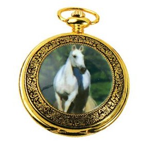Pocket Watch w/Chain (Horse)