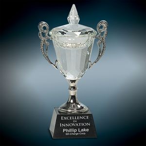 Small Crystal Cup Award w/Silver Handles