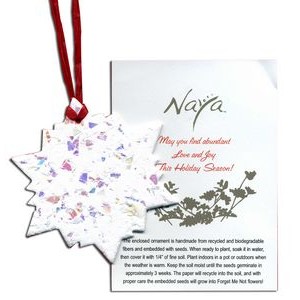 Snowflake Ornament w/Embedded Forget Me Not Seed