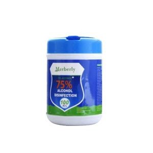 100PCS Disposable Cleaning Wipes (Inventory& blank)