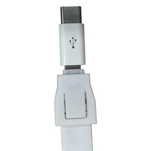 Type C Adapter (Purchased with Lanyard Price)