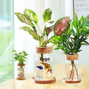 Glass Planter Hydroponic Plant Vase Propagation Station For Indoor Plants Betta Fish Bowl