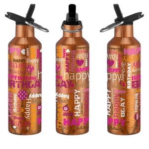 20 oz. Double Wall Stainless Steel Bottle with Leakproof Spout, Straw and Carry Handle