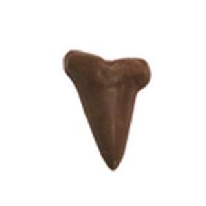 Chocolate Shark Teeth