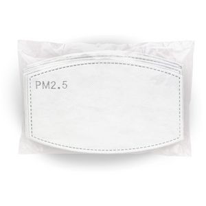 Replaceable PM 2.5 Filter (10-pc Pack)