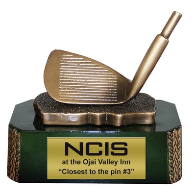 Iron Head 6" Award