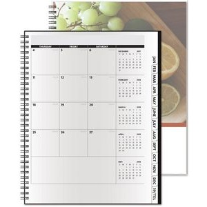 TheAnalyst™ ClearView™ Monthly Planner (8.5"x11")