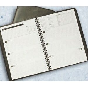 Executive appointment planner with expense recorder, refillable with a simulated leather cover.