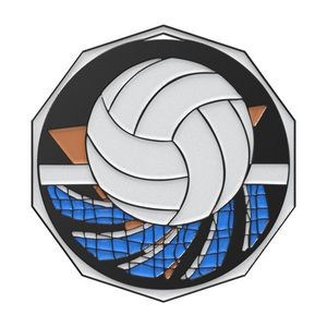 Volleyball Decagon Colored Medallion (2")
