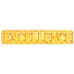 Bright Gold Excellence Service Lapel Pin