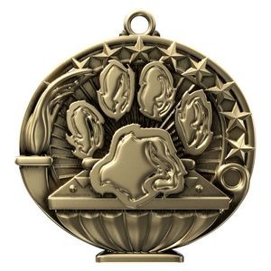 Paw Academic Performance Medallion