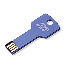 Key USB Flash Drive w/ Key Chain (2 GB)
