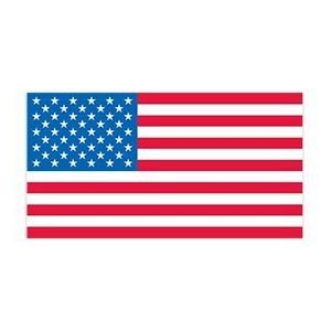 American Flag Team USA Temporary Tattoo