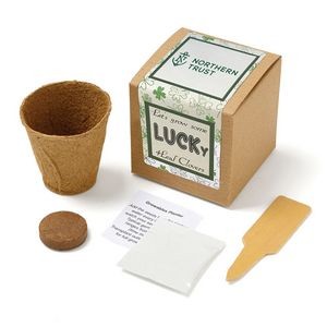 Lucky 4 Leaf Clover Growables Planter in Kraft Gift Box w/Seeds