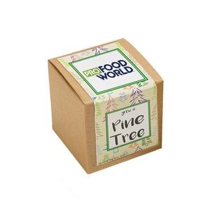 Pine Tree Growables Planter in Kraft Gift Box