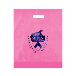 Frosted Die Cut Plastic Bag (15"x18"x4") - Flexo Ink