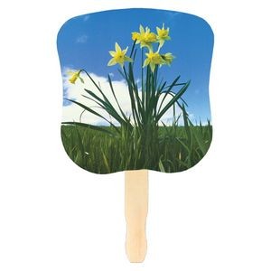 Daffodils Stock Design Hand Fan (Four Color Process)