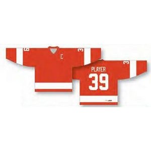 Detroit Red Wings Inspired Hockey Jersey