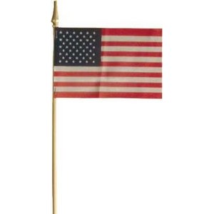 Blank USA Stick Flags Rx (12" x 18")