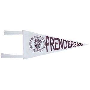 Small Wall Pennant w/1 Color Print