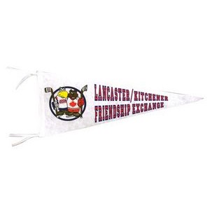 Large Wall Pennant w/1 Color Print