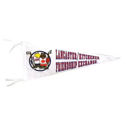 Large Wall Pennant w/1 Color Print