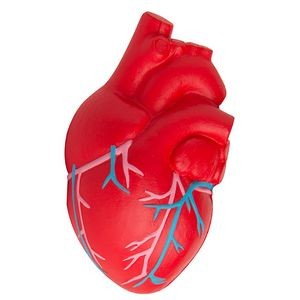 Heart (Anatomical w/Veins) Squeezies Stress Reliever