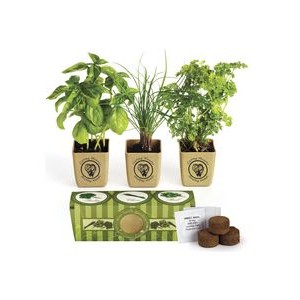 Prime Line Growpot Eco-Planter Herb 3-Pack