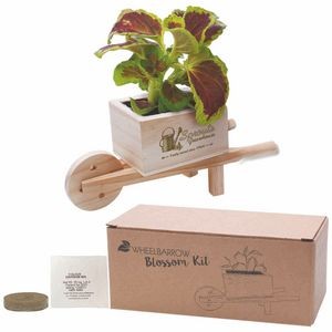 Wooden Wheel Barrow Blossom Kit w/Seeds