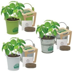 Mini Pail Blossom Kit w/Seeds & Planter