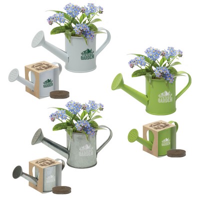 Mini Watering Can Blossom Kit w/Seeds