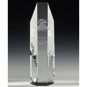 8" OptiMaxx Octagonal Tower Award