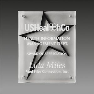3-Dimensional Beveled Star Stand Out Plaque™ (9"x12"x1")
