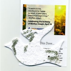 Seed Paper Dove Gift Set w/Embedded Pine Tree Seed
