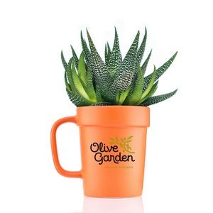 Planter Mug