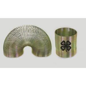 Metal Coil Puzzle Spring (2