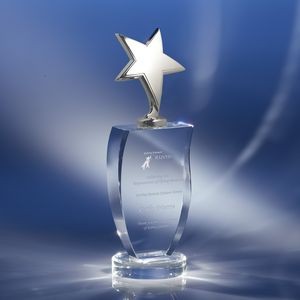 Topliner Crystal Award