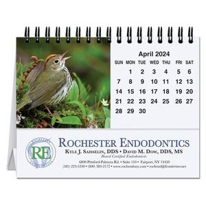 Bird Watching Tent Desk Calendar (5 13/16