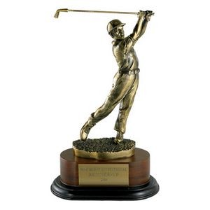11½" Electroplated Brass Male Golf Trophy on Wood Base