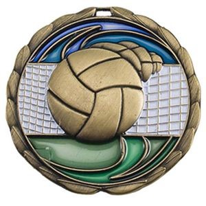 Stock Color Medals - Volleyball