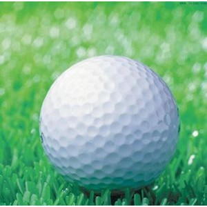 White Double-layer Training Golf Ball 392 Honeycombs