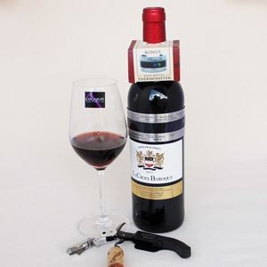 Stainless Steel Thermometer For Red Wine Bottle