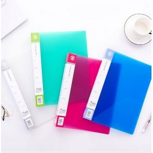 Frosted Ring Binder