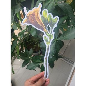 Large Flower Shaped Air Freshener/Studio Prop
