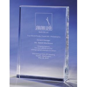 Leader Crystal Award (7")