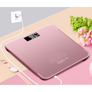 rechargeable weight Scale